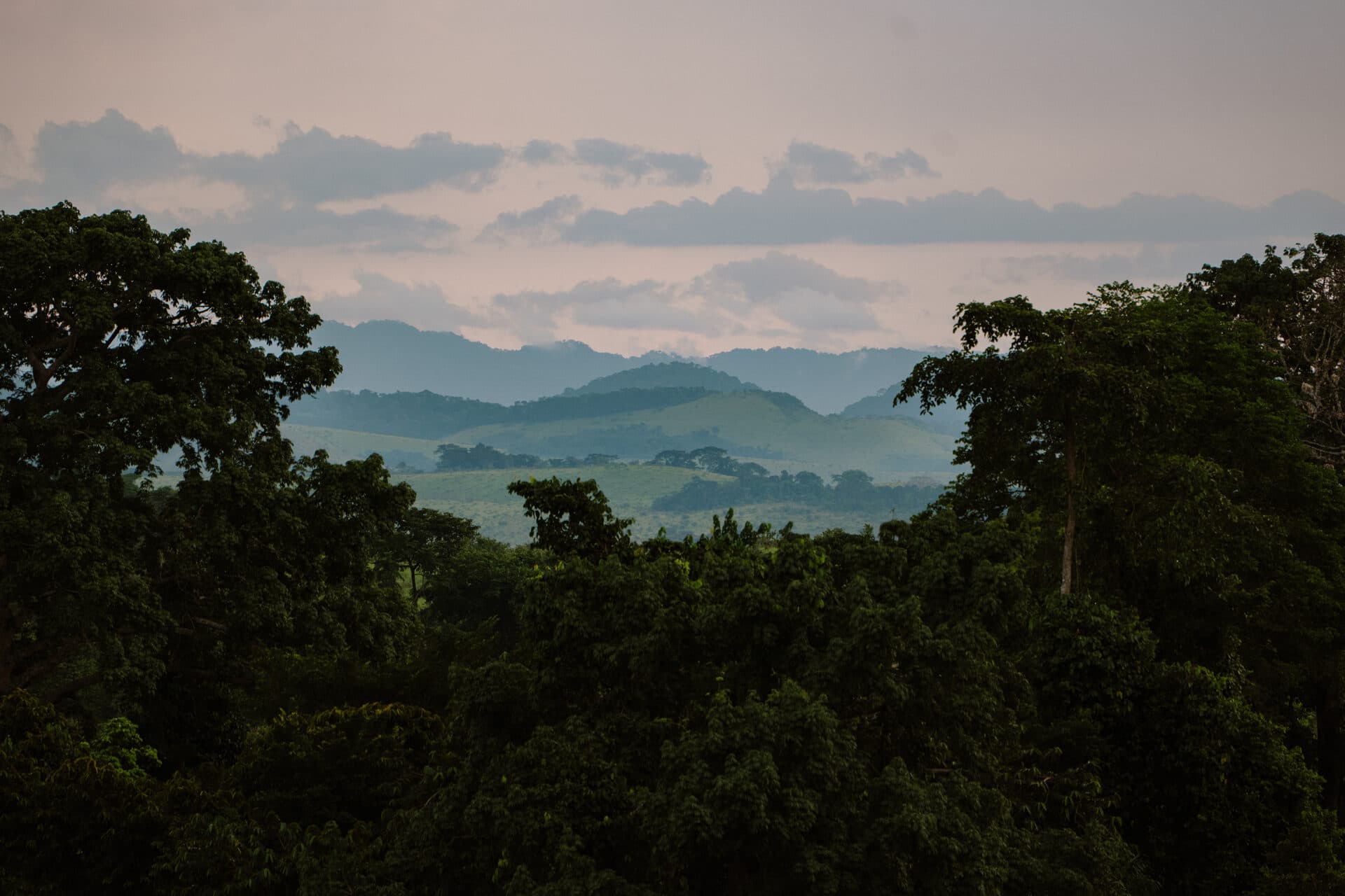 Druhá umělecká expedice Kongo